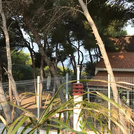 Paradise Vista Mare Apartament *