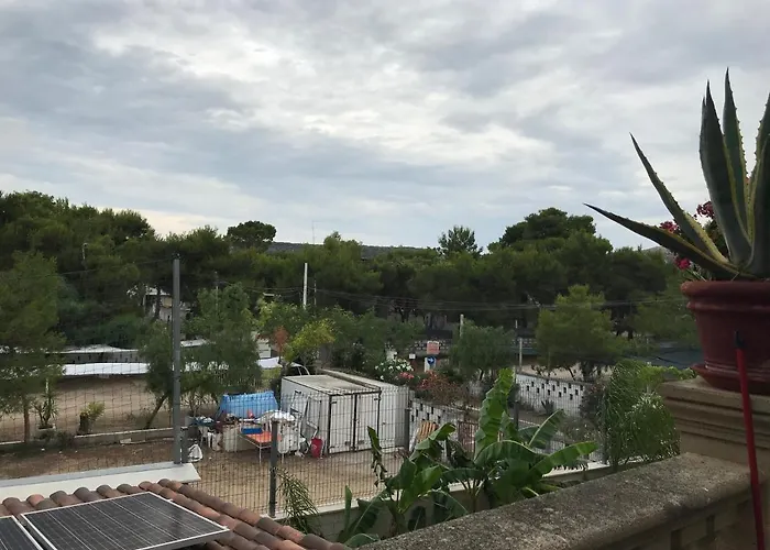 Paradise Vista Mare Apartament *